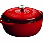 Lodge Enamel Dutch Oven Review